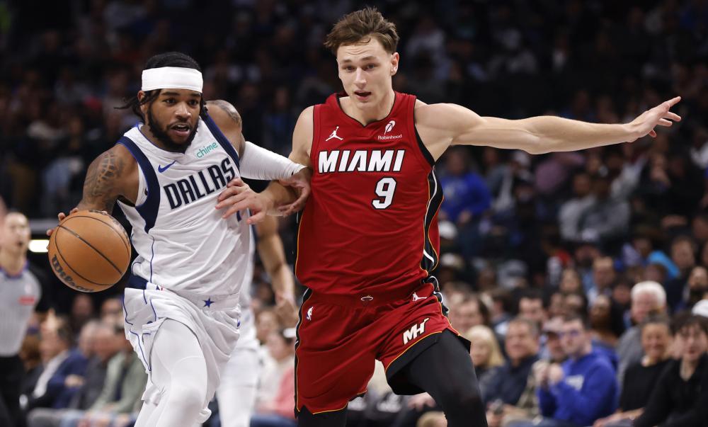 韧性和国家 韧性和国家